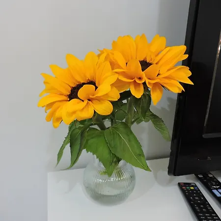 Dona Elena I Διαμέρισμα Padrón