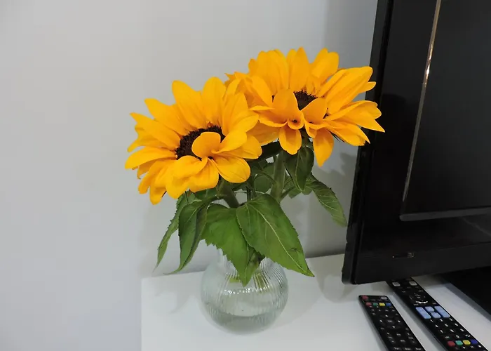 Dona Elena I Διαμέρισμα Padrón